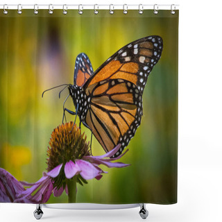 Personality  Portrait Of A Monarch Butterfly Seen From The Side Against A Colorful Blurred Summer Meadow Background Shower Curtains