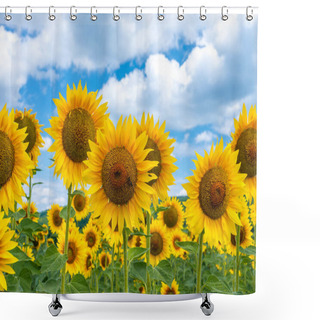 Personality  Field Of Blooming Sunflowers On A Background Sky Shower Curtains