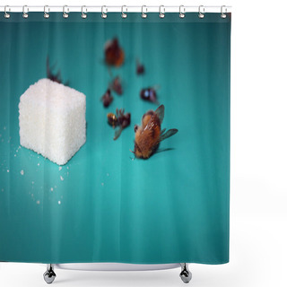 Personality  Sugar And Flies. Shower Curtains