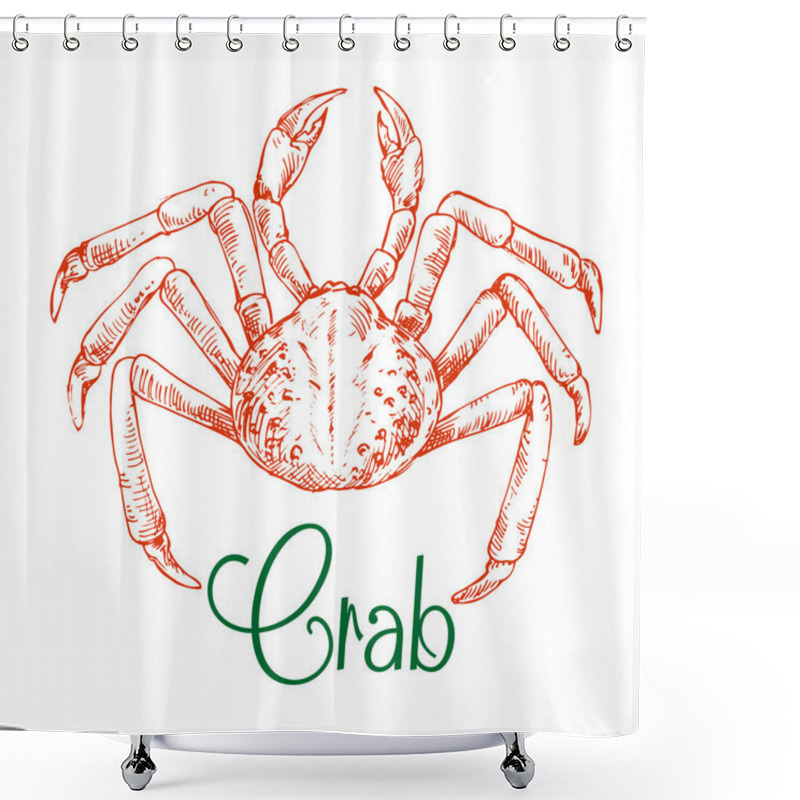 Personality  Sketch Of Large Japanese Snow Crab Shower Curtains