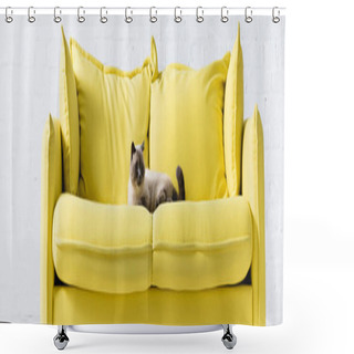 Personality  Siamese Cat Lying On Yellow Sofa With Pillows At Home, Banner Shower Curtains
