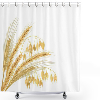 Personality  Four Cereals Grains With Ears, Sheaf. Wheat, Barley, Oat And Rye Set. Shower Curtains