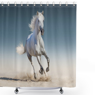 Personality  White Horse Run Gallop Shower Curtains