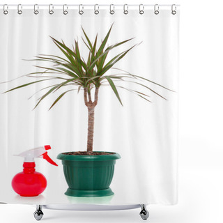 Personality  Dracaena Palm Spray Bottle, Isolated Shower Curtains