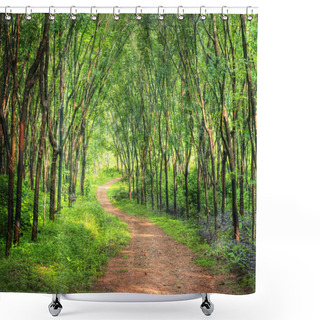 Personality  Enchanting Forest Lane  Shower Curtains
