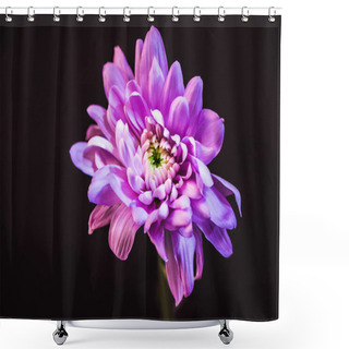 Personality  Top View Of Daisy Flower With Pink Petals, Isolated On Black Shower Curtains