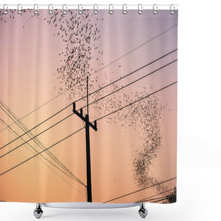 Personality  Flock Of Bats Flying Curve Over Electric Pole At Dusk Shower Curtains