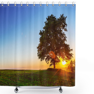 Personality  Lonely Tree , Sunset Shot Shower Curtains