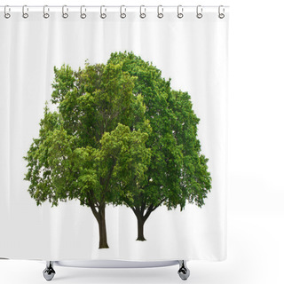 Personality  Green Trees Shower Curtains