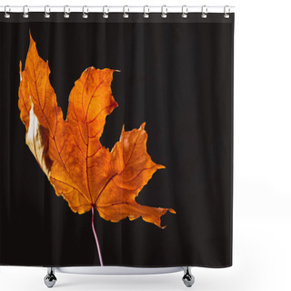 Personality  Beautiful Orange Maple Leaf Isolated On Black, Autumn Background Shower Curtains