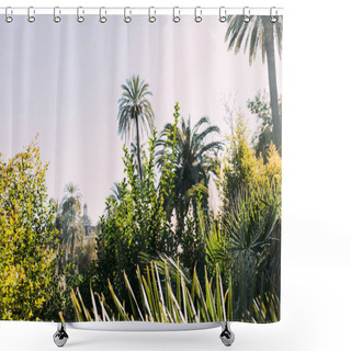 Personality  Lush Plants And Bushes In Parc De La Ciutadella, Barcelona, Spain Shower Curtains