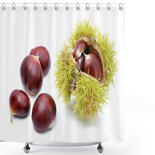 Personality  Chestnuts Shower Curtains