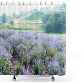 Personality  Outdoors Shower Curtains