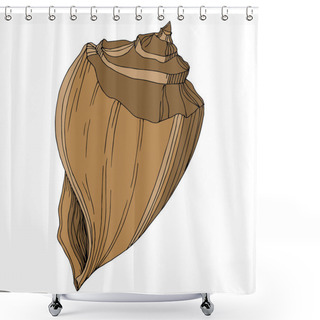 Personality  Vector Summer Beach Seashell Tropical Elements. Brown Beige Engr Shower Curtains