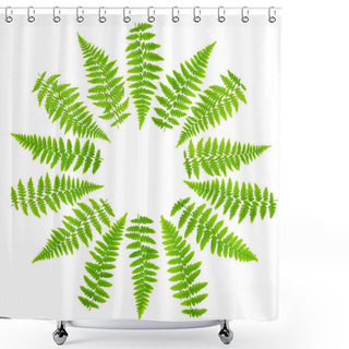 Personality  Circle Arrangement In Round Rosette Of Fern Leaves 100 Mpx Image Set Isolated On White Background In Macro Lens Shooting. Shower Curtains