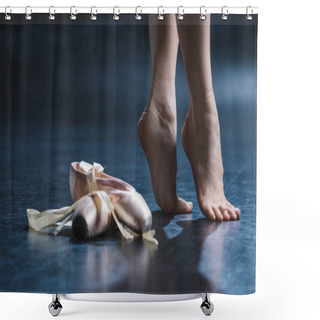 Personality  Elegant Barefoot Ballerina Shower Curtains
