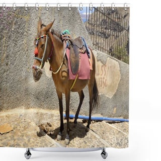 Personality  Donkey Shower Curtains