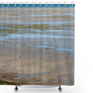 Personality  Saltmarsh In Australia With Birds And Plants In Summer Shower Curtains