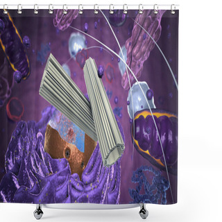 Personality  Organelles Inside Eukaryote, Focus On Centrosome - 3d Illustration Shower Curtains