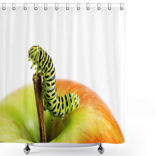 Personality  Apple Shower Curtains