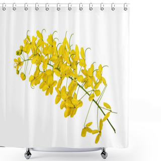 Personality  Yellow Flower On Isolated White Background, Javanese Cassia Flowers   Is From Thailand Shower Curtains