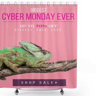 Personality  Beautiful Exotic Chameleon Sitting On Tree Branch Isolated On Pink With Cyber Monday Ever Shopping Shower Curtains