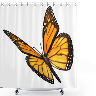 Personality  Monarch Butterfly Angled Shower Curtains