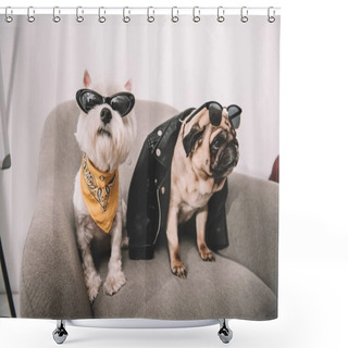 Personality  Stylish Dogs In Sunglasses Shower Curtains