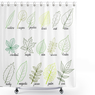 Personality  Vector Set Of Tree Leaves Shower Curtains