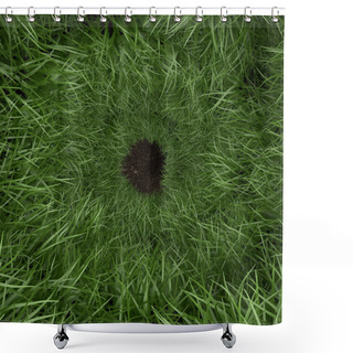 Personality  Grass Rabbit Hole Shower Curtains