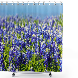 Personality  Pretty Texas Bluebonnets Shower Curtains