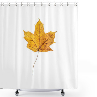 Personality  Maple Leaf  Shower Curtains