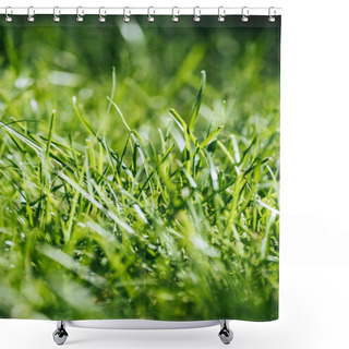 Personality  Close-up View Of Fresh Green Grass, Selective Focus Shower Curtains