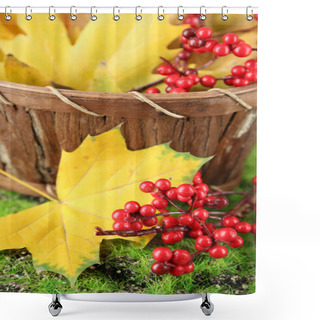 Personality  Beautiful Autumn Leaves And Red Berries In Basket On Grass Background Shower Curtains