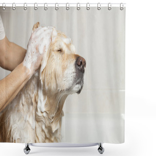 Personality  Bathroom To A Dog Shower Curtains