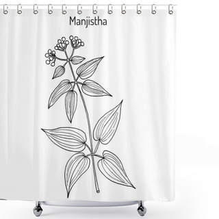 Personality  Manjistha Rubia Cordifolia , Medicinal Plant Shower Curtains