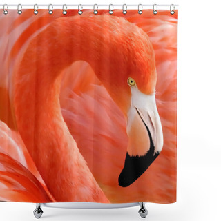 Personality  Scenic View Of Beautiful Bird At Nature Shower Curtains