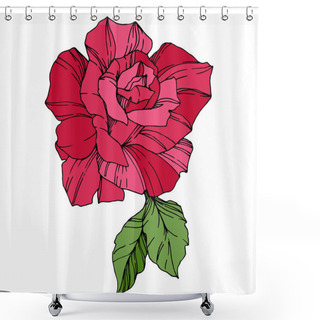 Personality  Beautiful Rose Flower. Floral Botanical Flower. Red Engraved Ink Art. Isolated Rose Illustration Element Shower Curtains