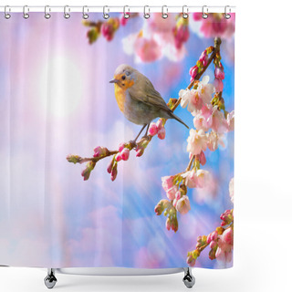 Personality  Abstract Spring Border Background With Pink Blossom Shower Curtains