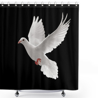 Personality  Pigoen Flying Shower Curtains