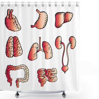 Personality  Internal Human Organs Hand Drawn Icons Set With - Heart, Brains, Lungs, Liver, Kidneys, Intestine, Stomach. Shower Curtains