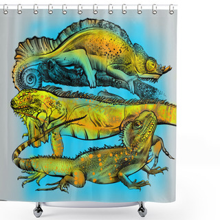 Personality  Painted Bright Colored Lizards On A Tree Branch. Iguana, Chameleon, Reptile. Children's Drawing. Encyclopedia Of Biology. Coloring Book, Fabulous Illustration. Zoo Shower Curtains