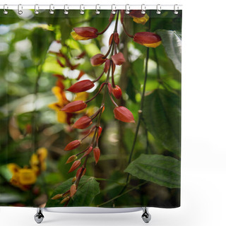 Personality  Selective Focus Of Flowers With Green Leaves On Branches Of Tree Shower Curtains