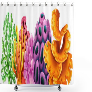 Personality  Coral Reef On White Background Shower Curtains