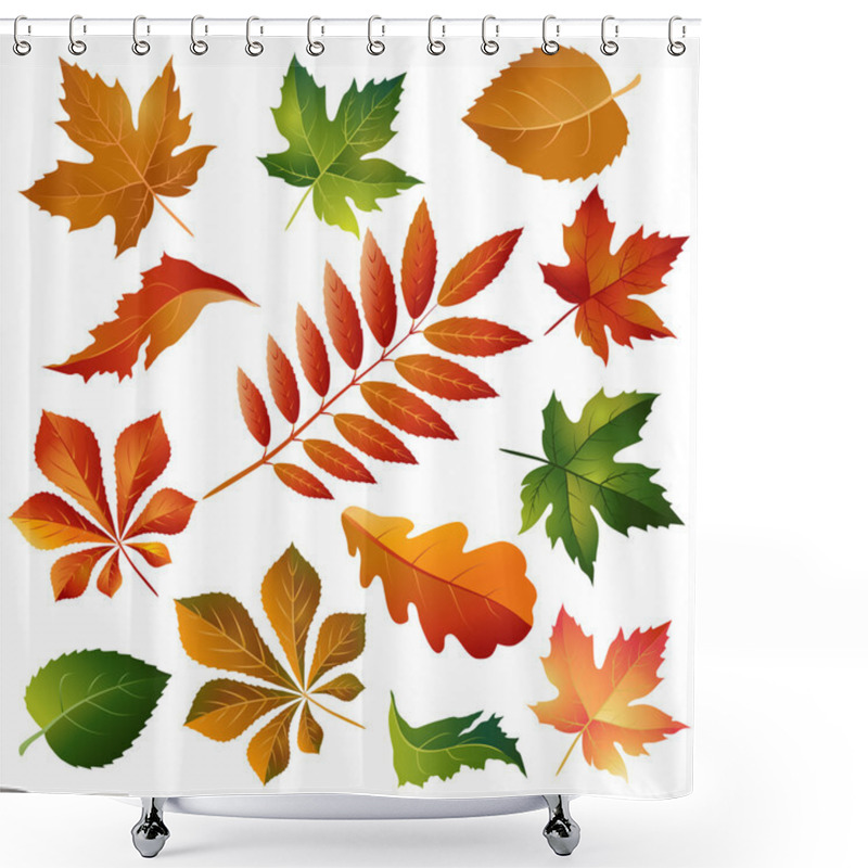 Personality  Collection Beautiful Colorful Autumn Leaves Shower Curtains