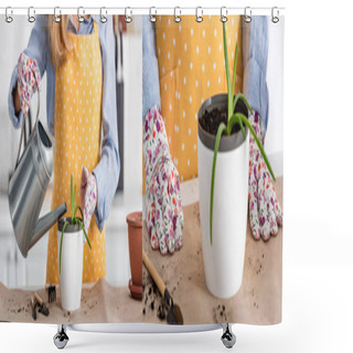 Personality  Collage Of Woman Watering Aloe Near Table With Gardening Tools In Kitchen, Panoramic Shot Shower Curtains