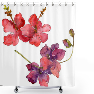 Personality  Flowers Isolated On White. Watercolor Background Illustration Set.  Shower Curtains