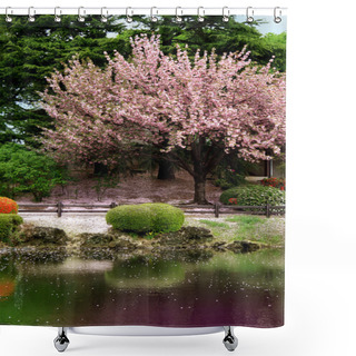 Personality  Cherry Blossom Tree On A Parc - Tokyo Shower Curtains