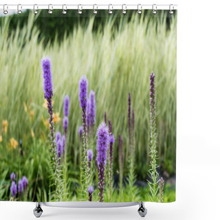 Personality  Selective Focus Of Purple Blooming Lupines In Summertime  Shower Curtains