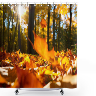 Personality  Fallen Leaves Shower Curtains